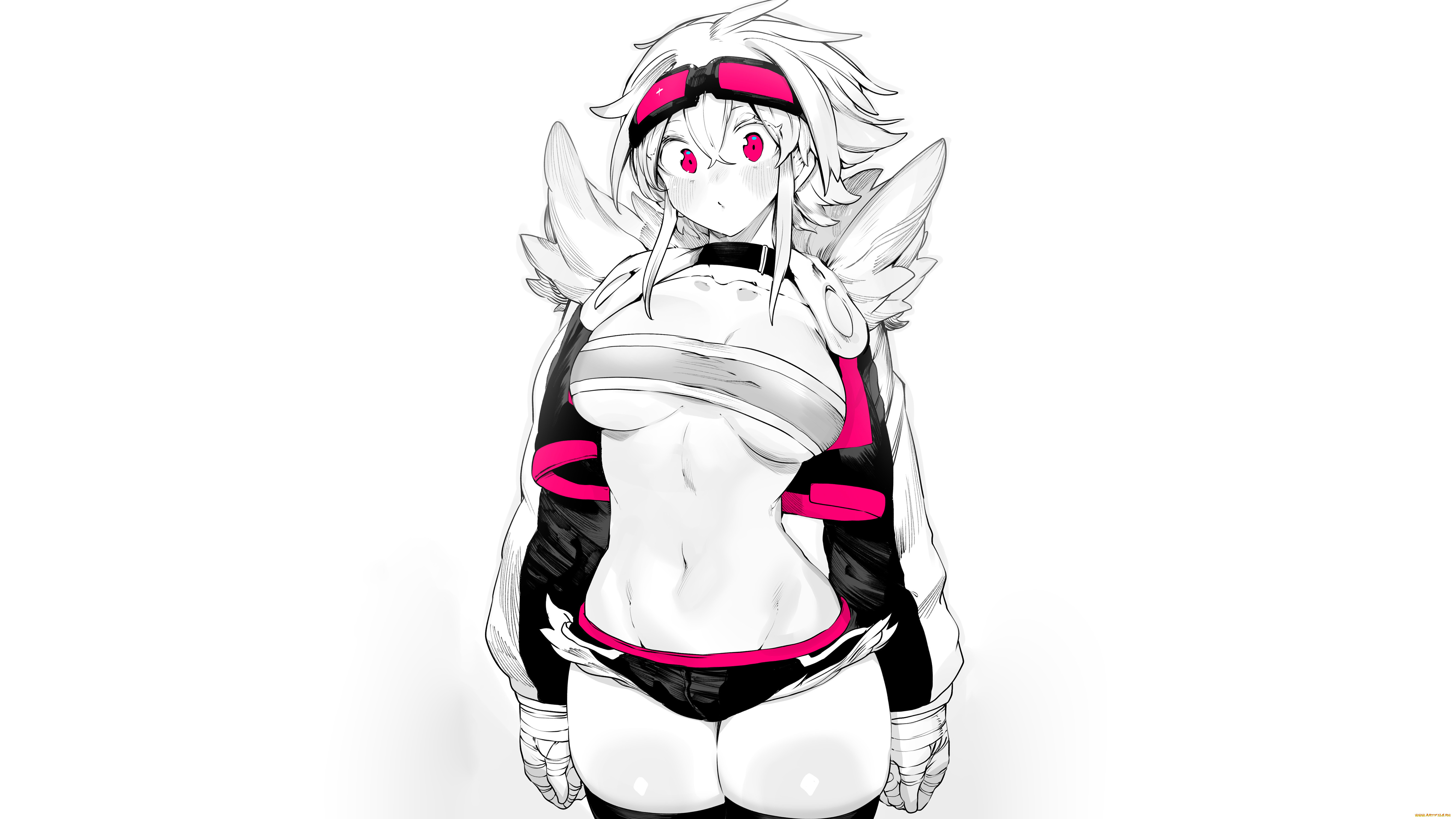 , unknown,   , niwarhythm, anime, niwamaru